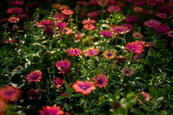 Savoring Spring with a Fun-Filled Field Trip