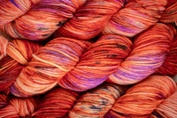 Tulip Mania