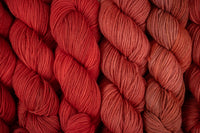 Rhubarb