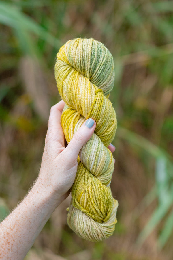 Feathergrass