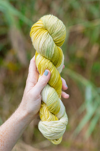 Feathergrass