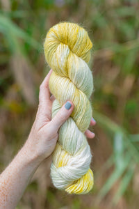 Feathergrass