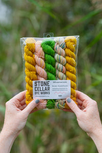 20g Minis (Set of 5 Worsted)