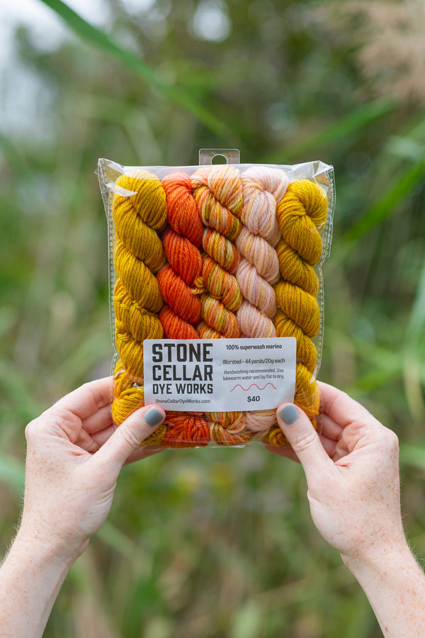 20g Minis (Set of 5 Worsted)