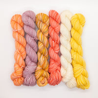 20g Minis (Set of 6 Sock) - Partial Flower Shop Collection