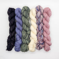 20g Minis (Set of 6 Sock) - Partial Flower Shop Collection
