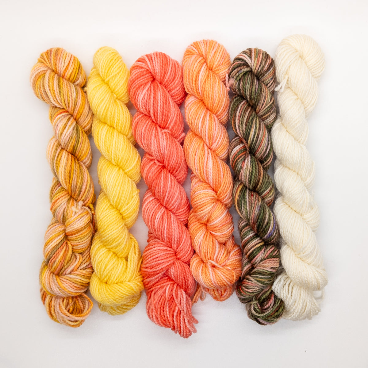 20g Minis (Set of 6 Sock) - Partial Flower Shop Collection