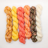 20g Minis (Set of 6 Sock) - Partial Flower Shop Collection