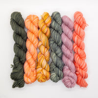 20g Minis (Set of 6 Sock) - Partial Flower Shop Collection