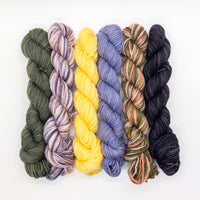 20g Minis (Set of 6 Sock) - Partial Flower Shop Collection