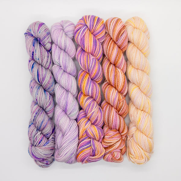 20g Minis (Set of 5 Sock) - Pinks, Purples, Yellows