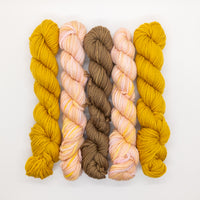 20g Minis (Set of 5 Worsted) - Yellow, Pink, Brown