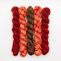 20g Minis (Set of 5 Worsted) - Reds, Browns
