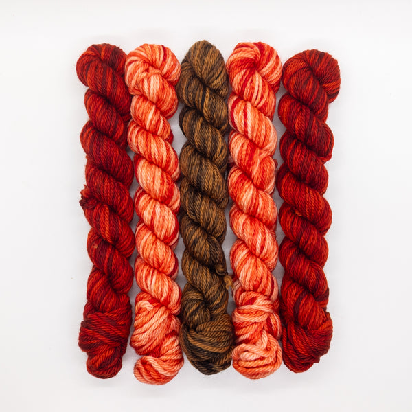 20g Minis (Set of 5 Worsted) - Reds, Browns
