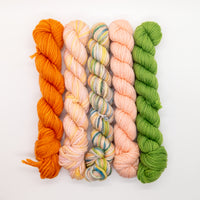20g Minis (Set of 5 Worsted) - Orange, Pink, Green