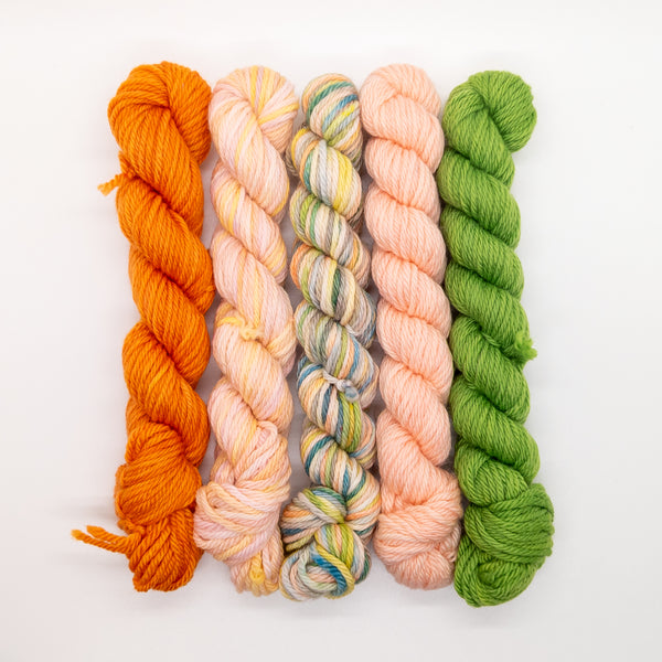 20g Minis (Set of 5 Worsted) - Orange, Pink, Green