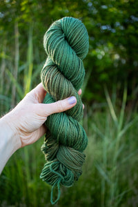 Spirulina