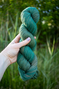 Spirulina