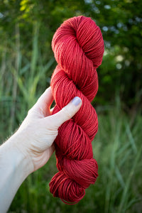 Rhubarb